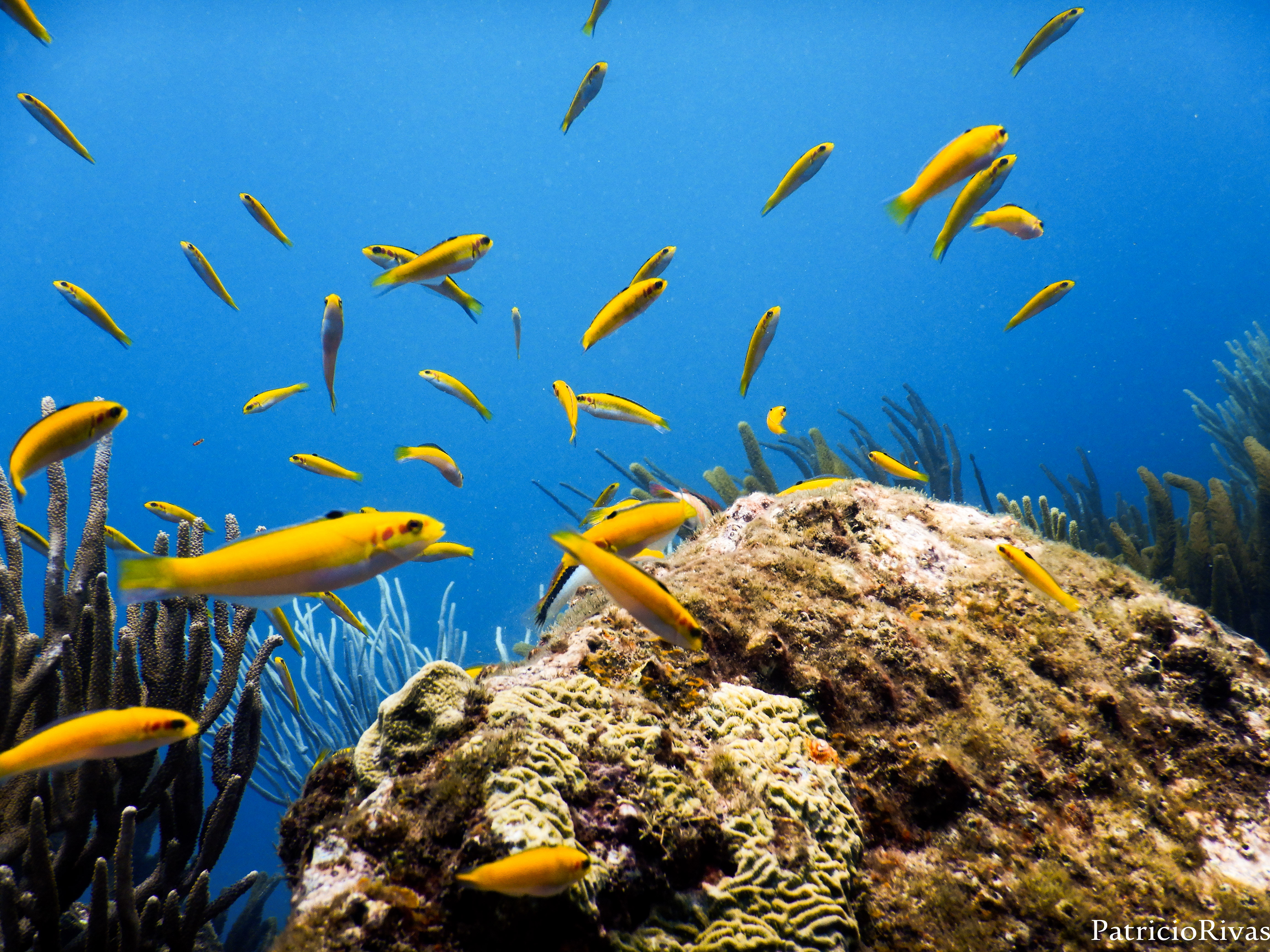 Ubicación Privilegiada